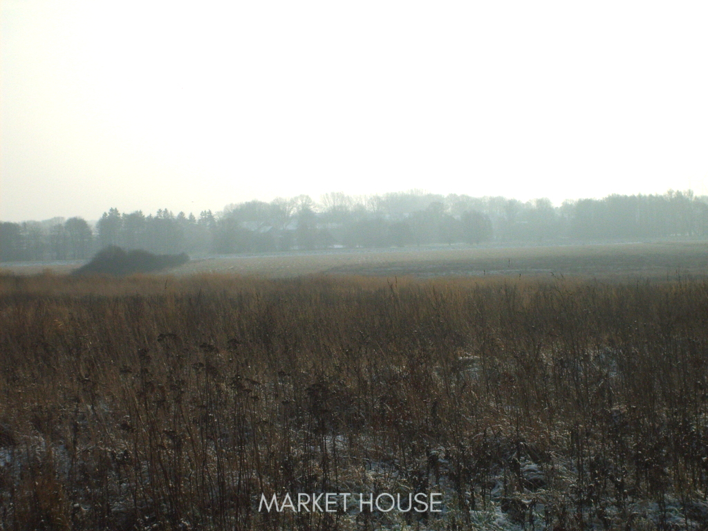 Działki na sprzedaż (3)