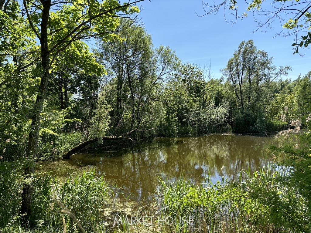 Działka usługowa przy ul.Kredowej (4)