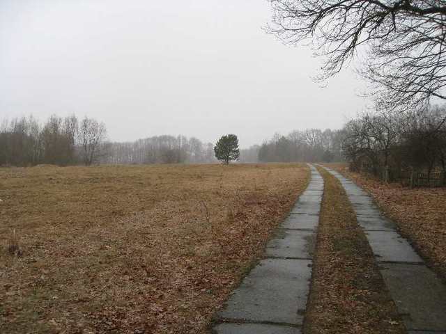 Stepnica działka z warunkami zabudowy (8)