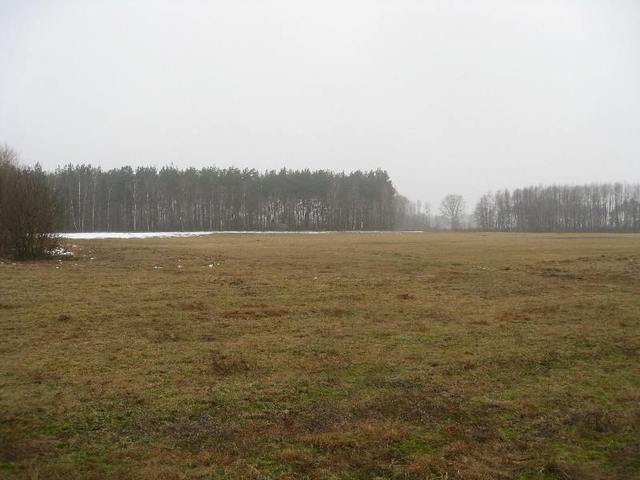 Stepnica działka z warunkami zabudowy (10)