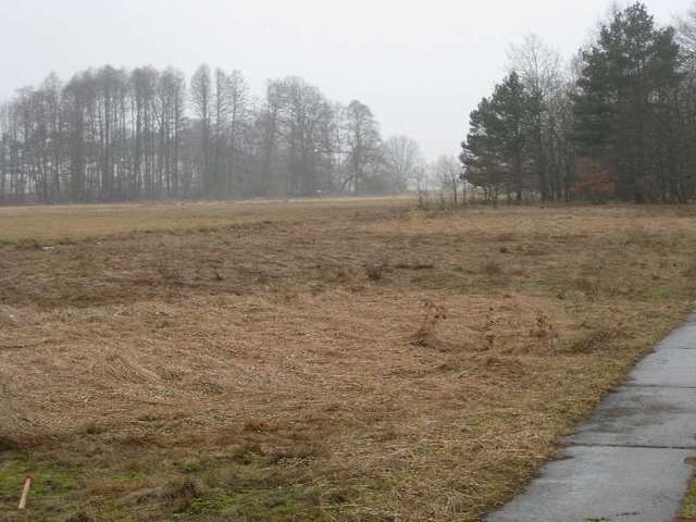 Stepnica działka z warunkami zabudowy (15)