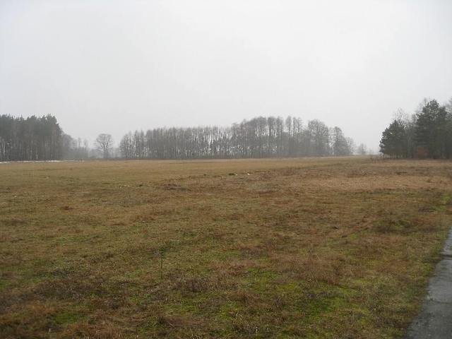 Stepnica działka z warunkami zabudowy (13)