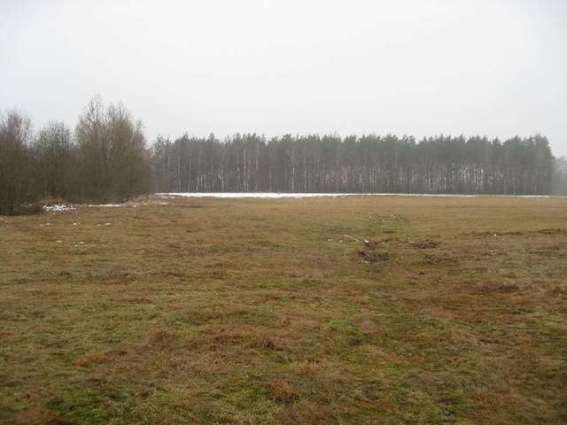 Stepnica działka z warunkami zabudowy (14)