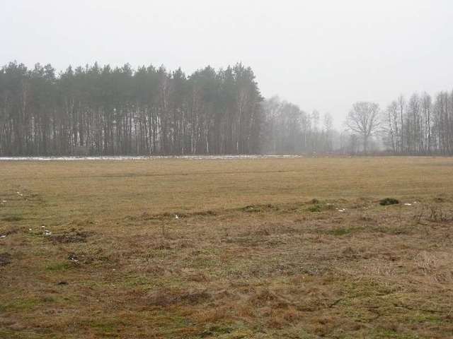 Stepnica działka z warunkami zabudowy (15)