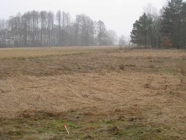 Stepnica działka z warunkami zabudowy (16)