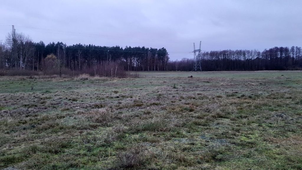 Stepnica działka z warunkami zabudowy (6)