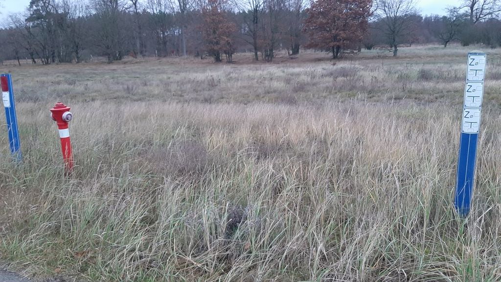 Stepnica działka z warunkami zabudowy (3)