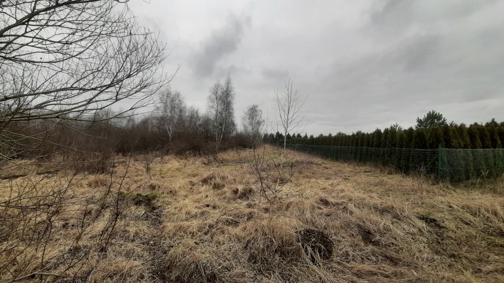 Działka  3000 pod zabudowę siedliskową (4)