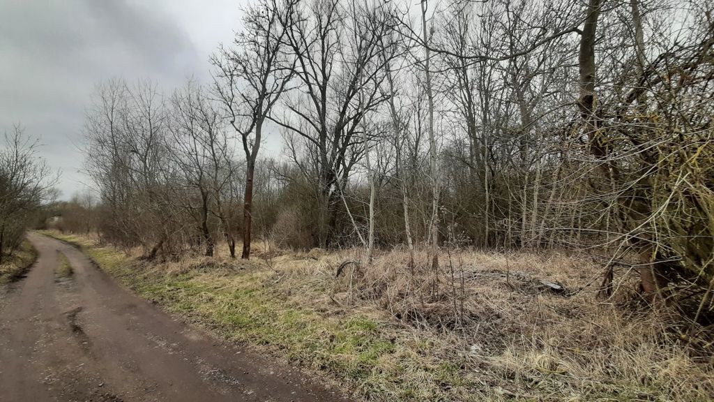 Działka  3000 pod zabudowę siedliskową (5)