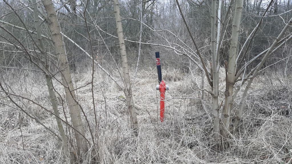 Działka  3000 pod zabudowę siedliskową (6)