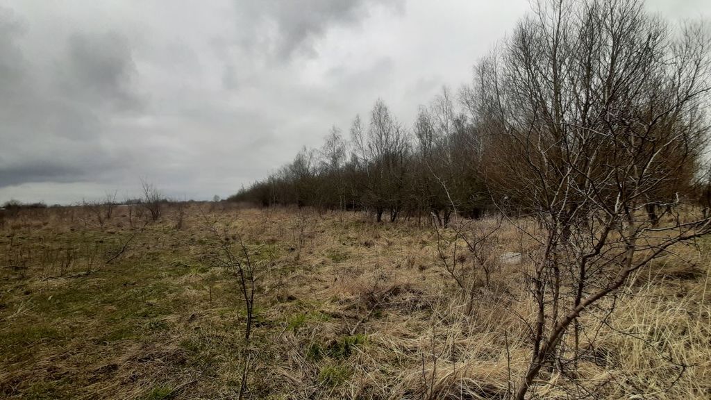 Działka  3000 pod zabudowę siedliskową (8)