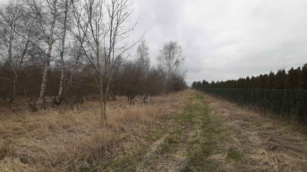 Działka  3000 pod zabudowę siedliskową (1)