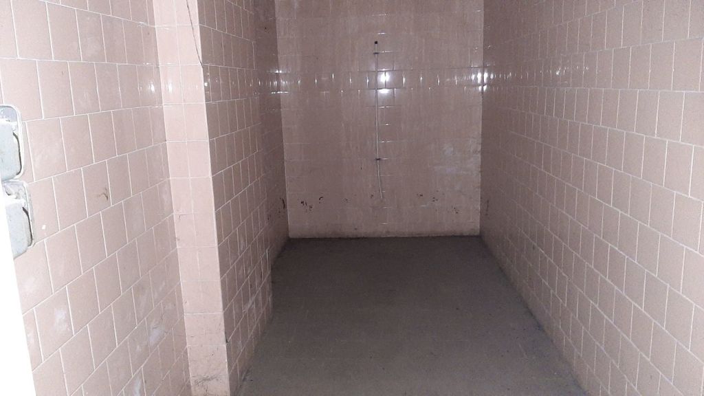 piwnica do własnej adaptacji (1)