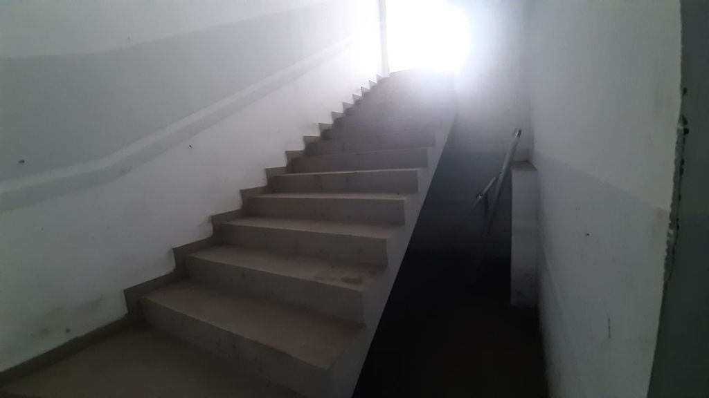 piwnica do własnej adaptacji (6)