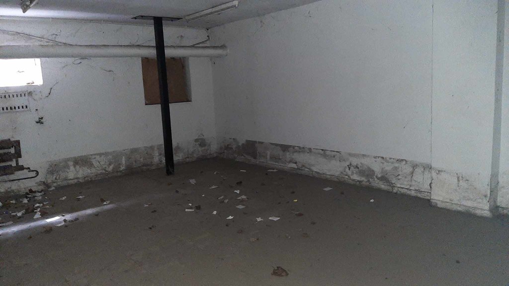 piwnica do własnej adaptacji (2)