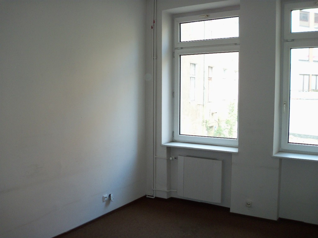 Lokale biurowo - handlowo- usługowe w centrum (2)