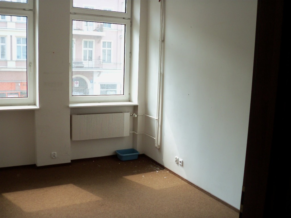 Lokale biurowo - handlowo- usługowe w centrum (4)