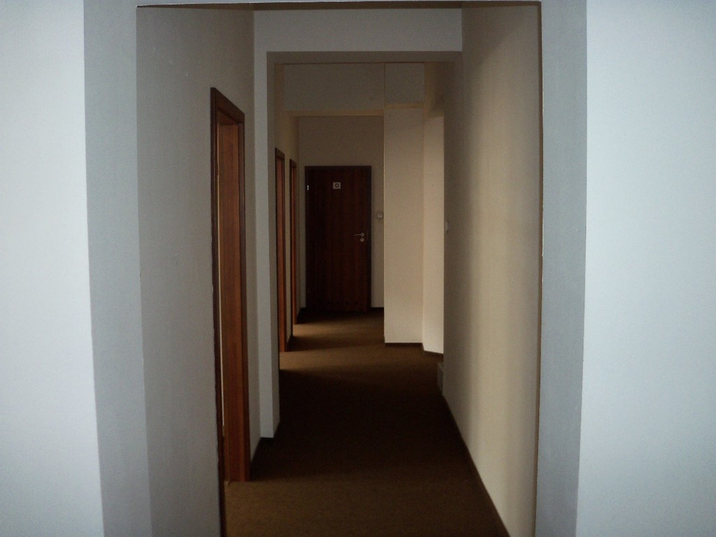 Lokale biurowo - handlowo- usługowe w centrum (6)