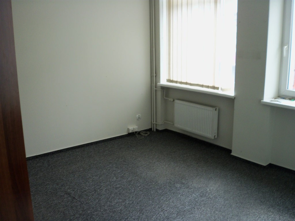 Lokale biurowo - handlowo- usługowe w centrum (10)