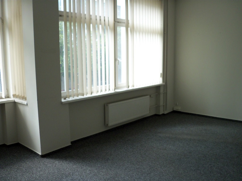 Lokale biurowo - handlowo- usługowe w centrum (11)