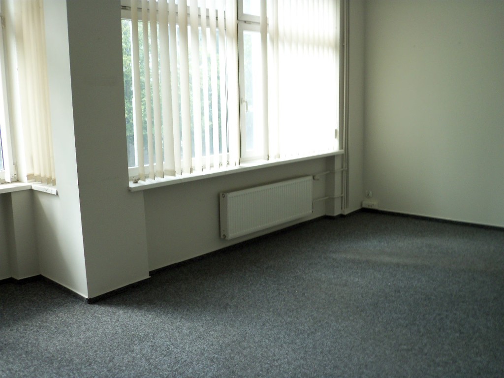 Lokale biurowo - handlowo- usługowe w centrum (12)