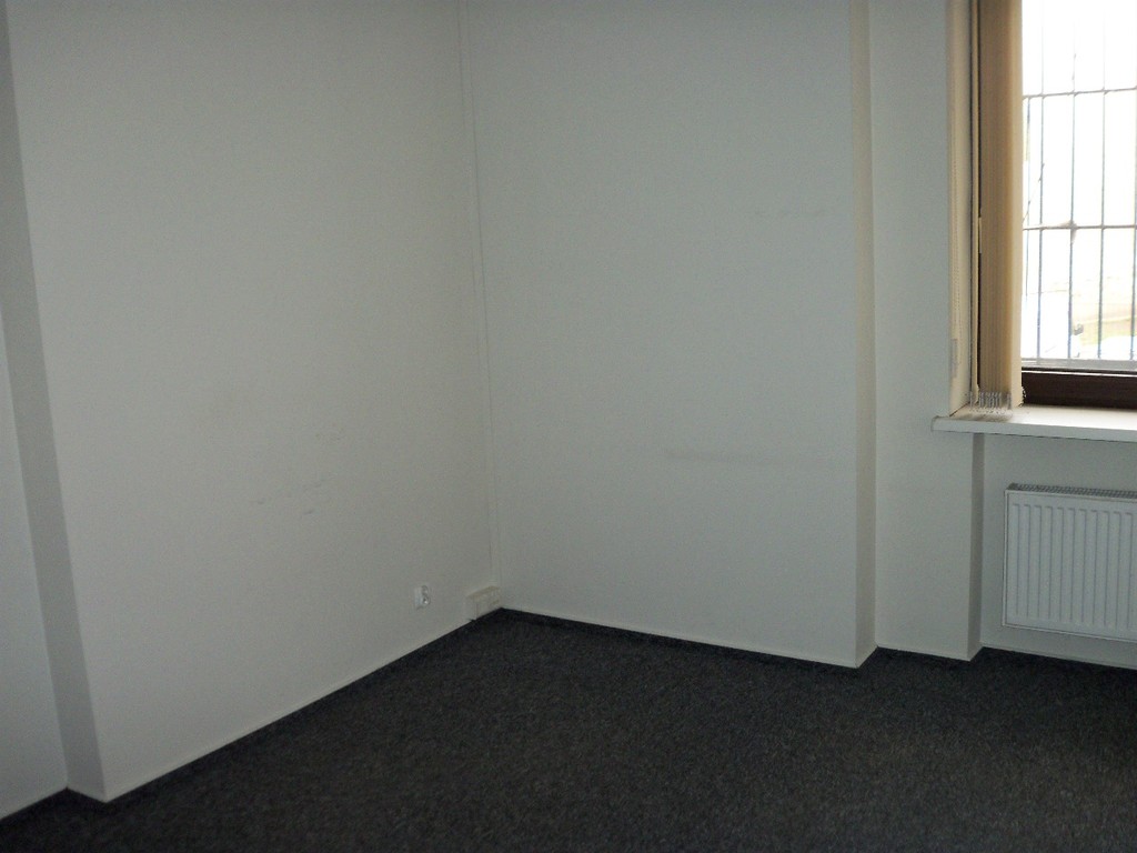 Lokale biurowo - handlowo- usługowe w centrum (14)