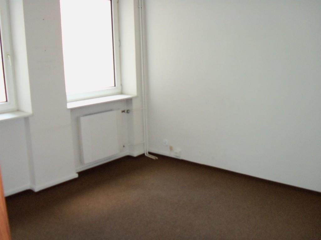 Lokale biurowo - handlowo- usługowe w centrum (16)