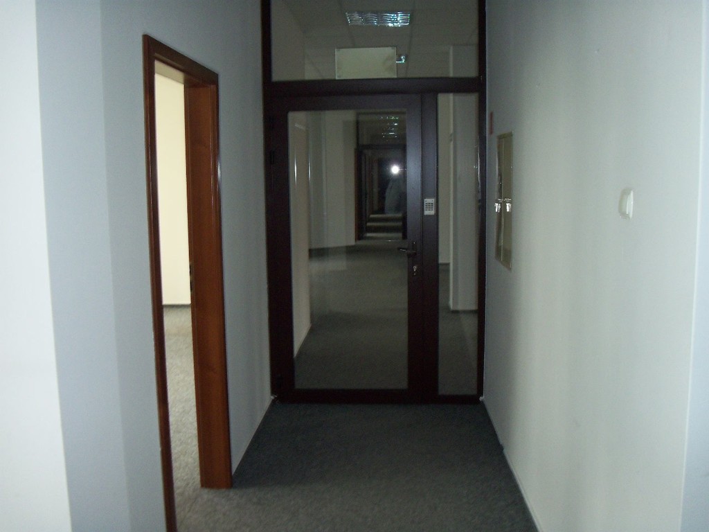 Lokale biurowo - handlowo- usługowe w centrum (17)