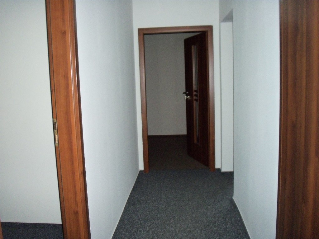 Lokale biurowo - handlowo- usługowe w centrum (21)