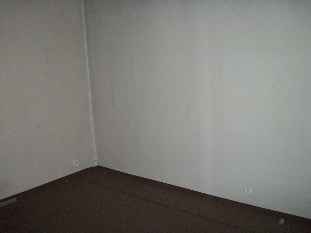 Lokale biurowo - handlowo- usługowe w centrum (23)