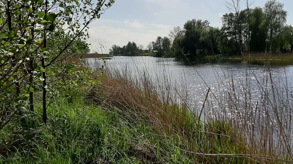 Działka nad morzem z dostępem do rzeki (1)