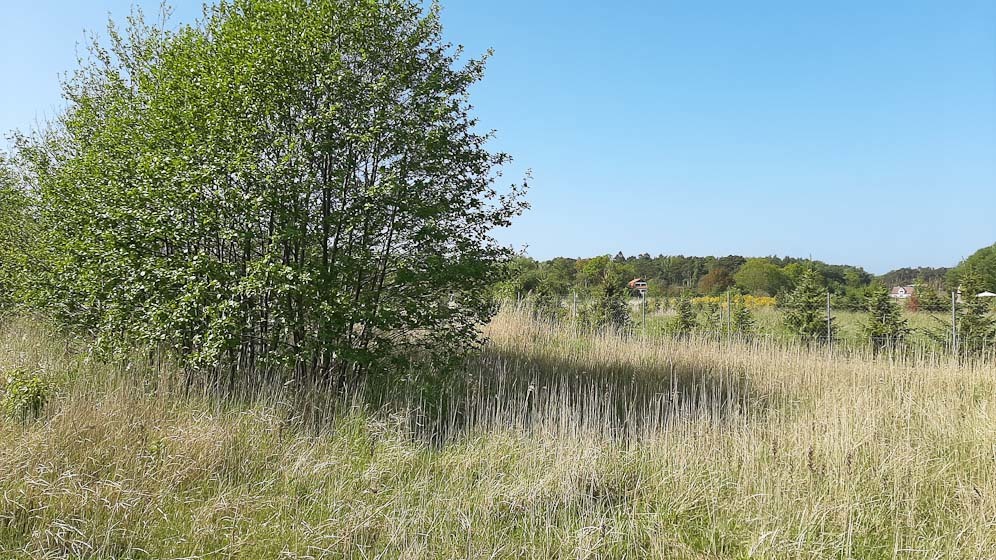 Działka nad morzem z dostępem do rzeki (7)