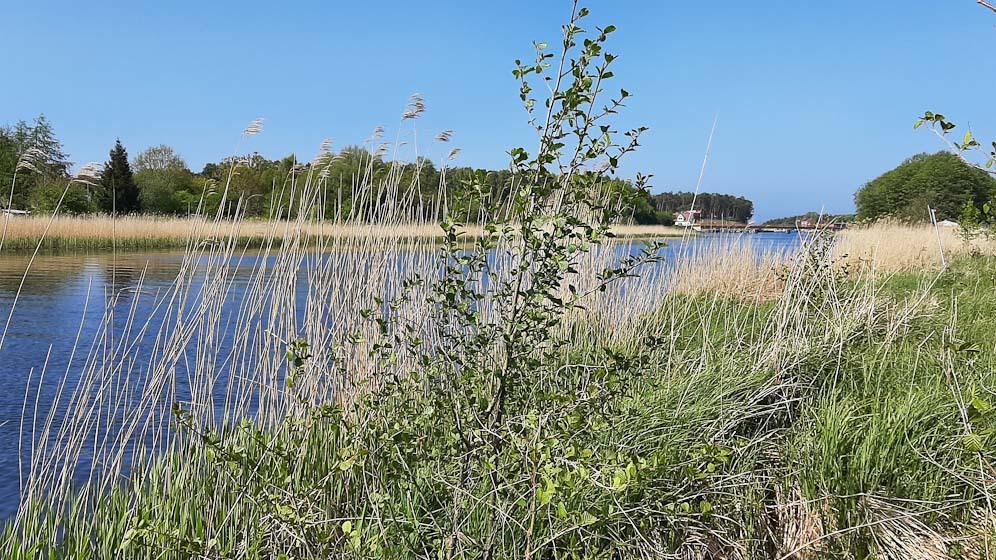 Działka nad morzem z dostępem do rzeki (8)