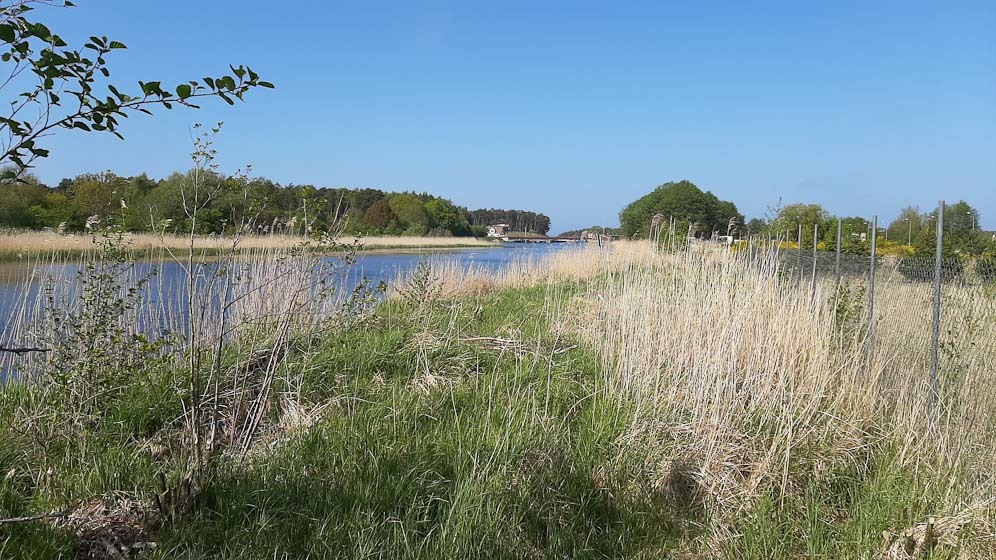 Działka nad morzem z dostępem do rzeki (9)