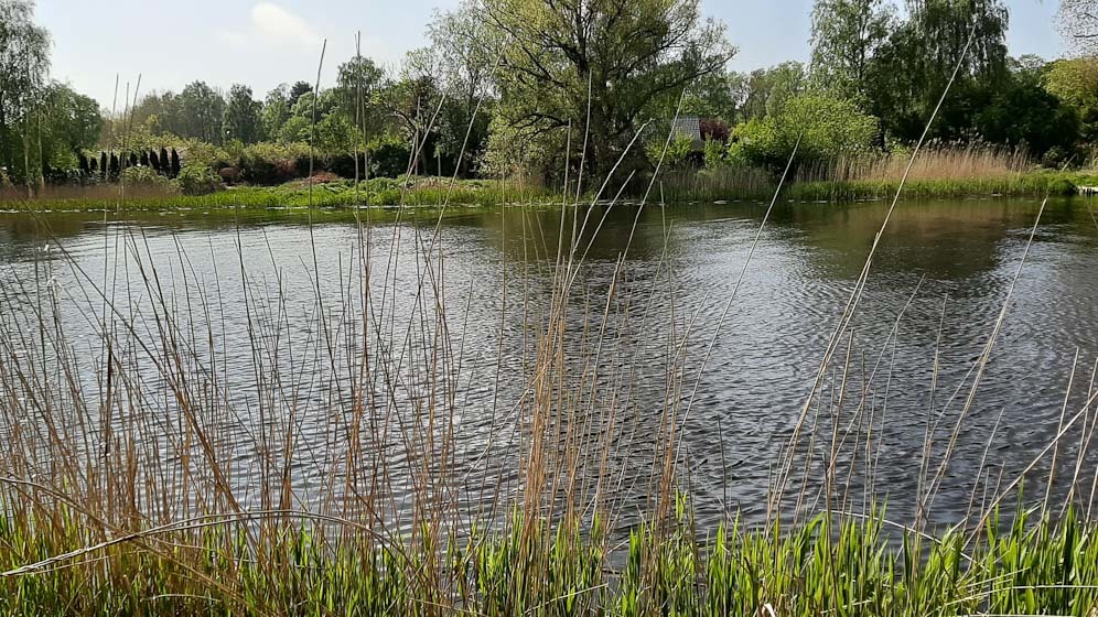 Działka nad morzem z dostępem do rzeki (11)