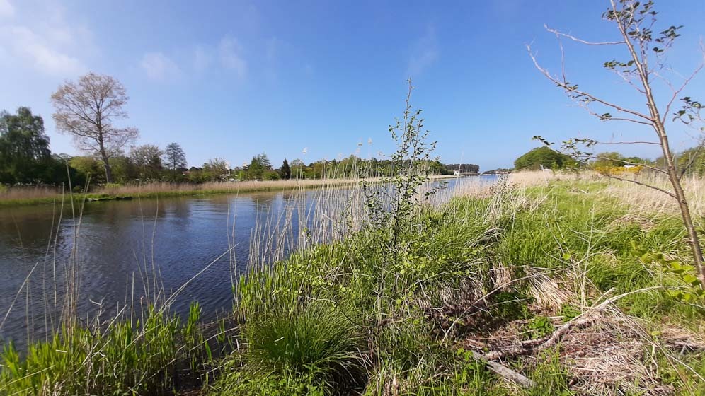 Działka nad morzem z dostępem do rzeki (12)