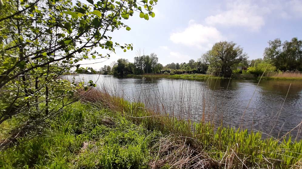 Działka nad morzem z dostępem do rzeki (13)