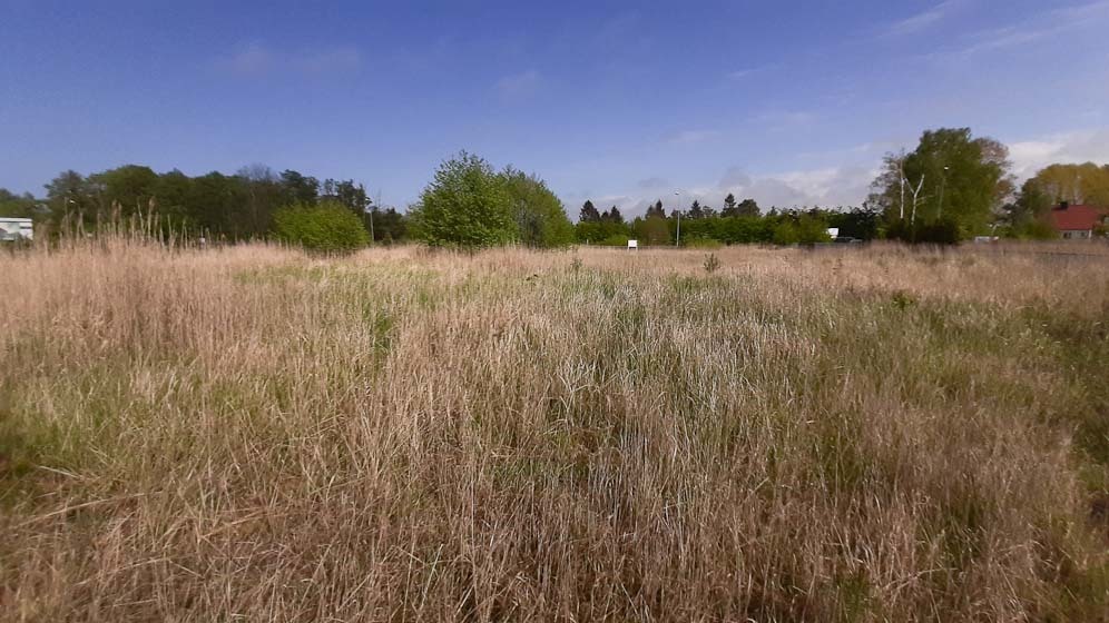 Działka nad morzem z dostępem do rzeki (16)