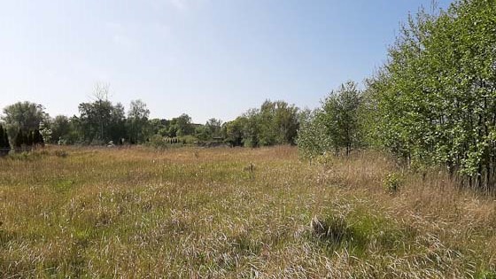 Działka nad morzem z dostępem do rzeki (19)