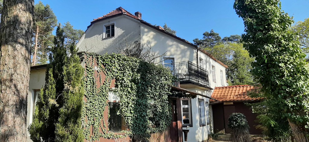 Bartoszewo Dom - lokal  na dużej działce (1)