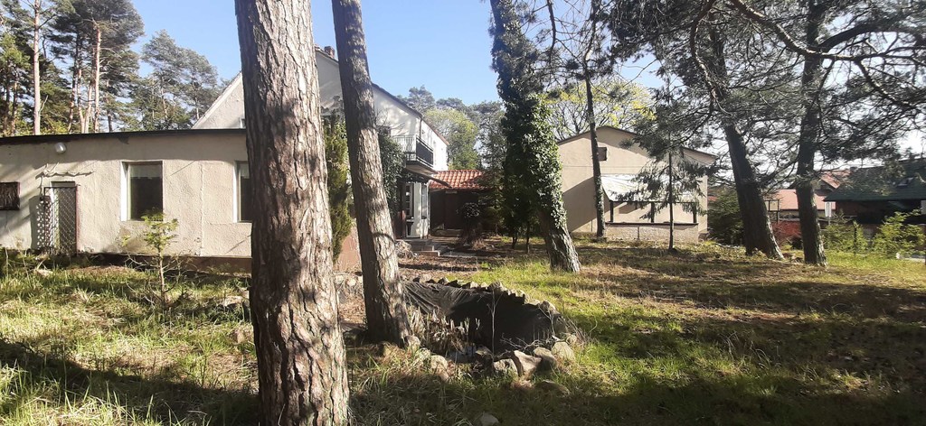 Bartoszewo Dom - lokal  na dużej działce (3)