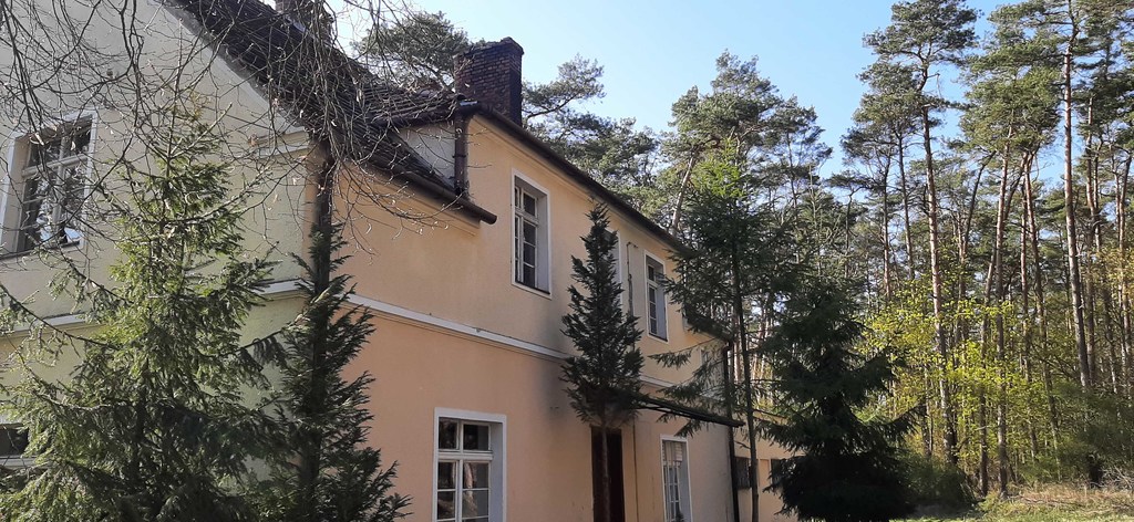 Bartoszewo Dom - lokal  na dużej działce (14)