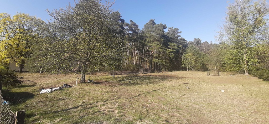 Bartoszewo Dom - lokal  na dużej działce (16)