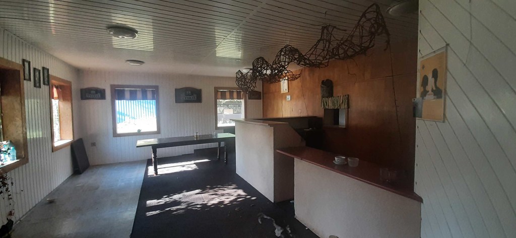 Bartoszewo Dom - lokal  na dużej działce (23)