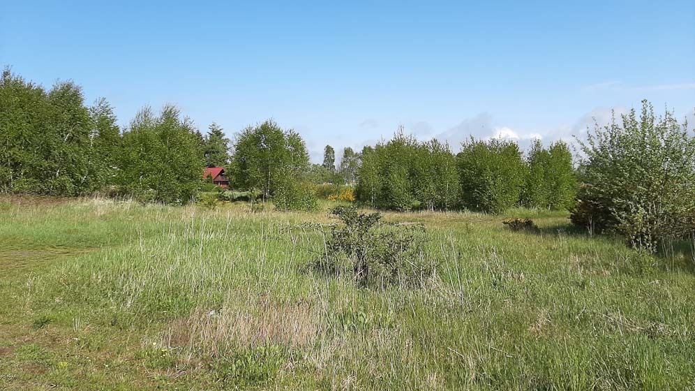 działka z planem zagospodarowania (1)