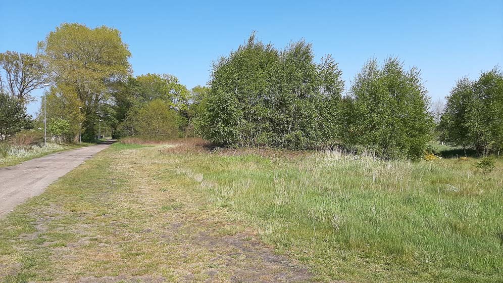 działka z planem zagospodarowania (7)