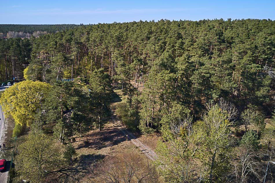 Bartoszewo Dom na dużej działce (11)