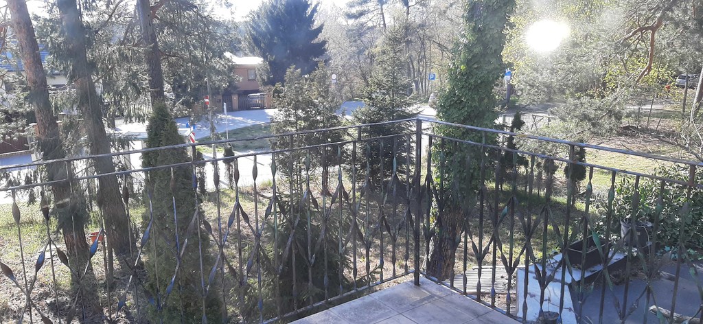 Bartoszewo Dom na dużej działce (30)