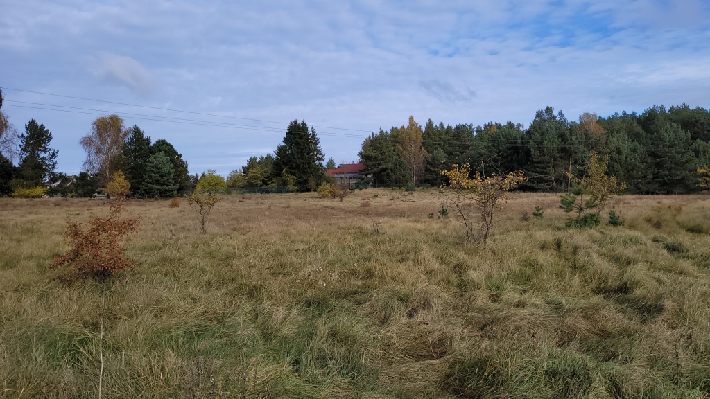 Warnowo Działka z planem zagospodarowania (7)