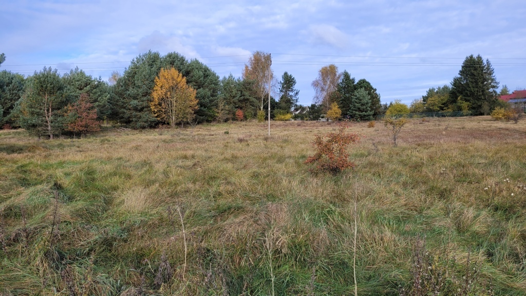 Warnowo Działka z planem zagospodarowania (2)